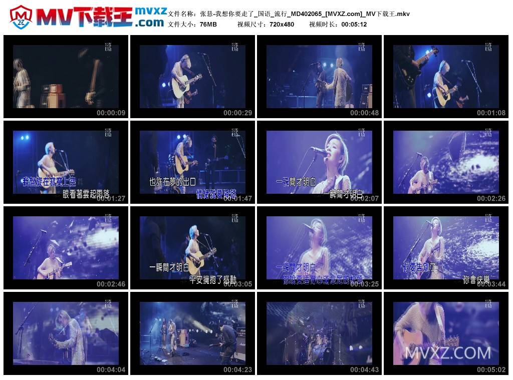 张悬-我想你要走了_国语_流行_MD402065